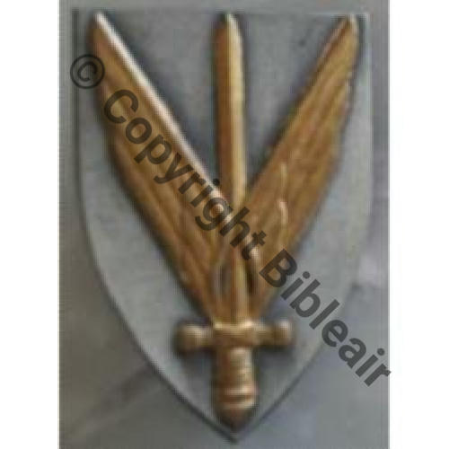 NH FUSILIERS ELITE  .AIR MAROC. au dos en relief  DrP+Bol Dos lisse irreg Embouti  29Eur(x2) 
