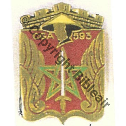 593  NH CGA.593 CAT BI  SM ou AUGIS...