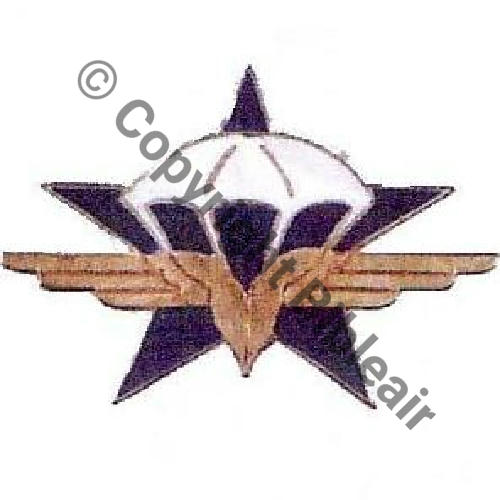 601  NH  CIE PARA DU 601er GROUPEMENT INFANTERIE AIR  REIMS  AB Repro...