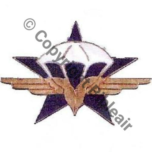 601  NH  CIE PARA DU 601er GROUPEMENT INFANTERIE AIR  REIMS  ABP Dep