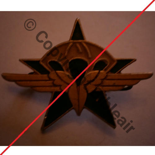 601 Type CIE PARA DU 601er GROUPEMENT INFANTERIE AIR AUGIS SM Alu peint 2Griffes  Grenu date 21.4.45 donc 1er RCP Src.D.SZYMANSKI 