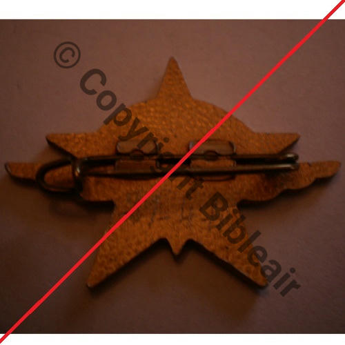601 Type CIE PARA DU 601er GROUPEMENT INFANTERIE AIR AUGIS SM Alu peint 2Griffes  Grenu date 21.4.45 donc 1er RCP Src.D.SZYMANSKI DOS 