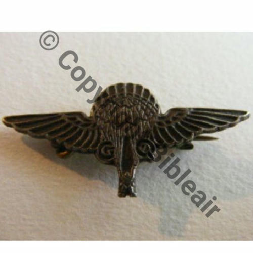 INS PARA ANGLAIS COPIE.. porte par FFL et GIA 1eCIE INF AIR Original Dos Embouti Ep.basc bijout Src.vieillarde  24Eur(x3)