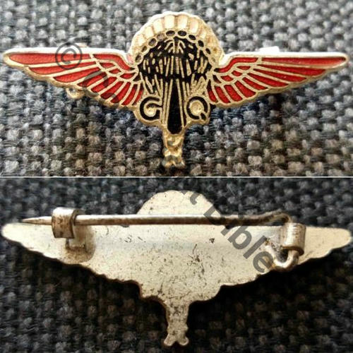 INS PARA ANGLAIS porte par FFL et GIA 1eCIE INF AIR  SM Eping bascule plate Dos lisse irreg NON grave Src.gildassaut 20Eur09.14