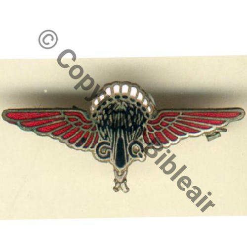 INS PARA ANGLAIS porte par FFL et GIA 1eCIE INF AIR Dos lisse irreg grave GQ PARACHUTIST Eping bascule Src.grandspins MAP140Eur 
