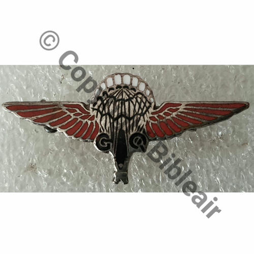 INS PARA ANGLAIS porte par FFL et GIA 1eCIE INF AIR Original Dos lisse irreg grave G.Q PARACHUTIST Ep.basc bijout  Src.nikita.357  77Eur02.22 