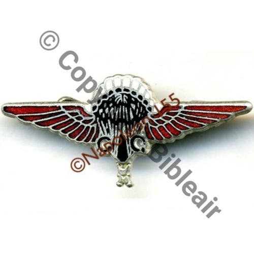 INS PARA ANGLAIS porte par FFL et GIA 1eCIE INF AIR Refrappe Dos lisse grave GQ PARACHUTIST Ep.basc Src.STELLA 47Eur(x15)
