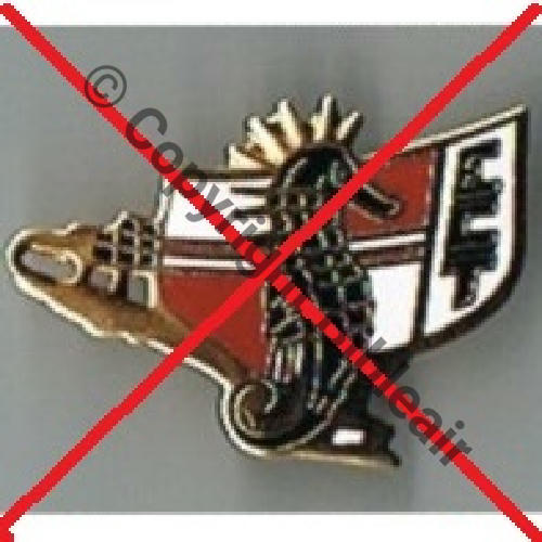 PINS ESCADRON CONTROLE TACTIQUE Src.celtische 10Eur05.12 
