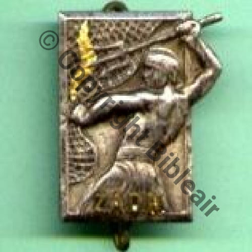A0941 ZADN.00.920 ROMILLY  DrP 2Anneaux Guilloche Frappe A491  Sc.BLANCHET 13EurInv