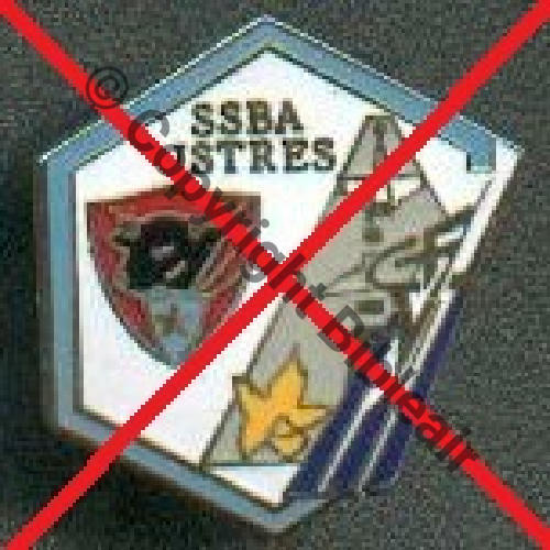 PINS  SSBA BA.125 ISTRES  PINS  SM 1atach PINS Dos Guilloche Src.sergioc07 13Eur(x2) 