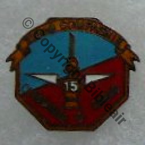 PAS INSIGNE  PINS 1 Src.RIGODANZO 