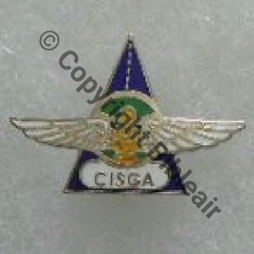 PAS INSIGNE PINS 2 Src.RIGODANZO  