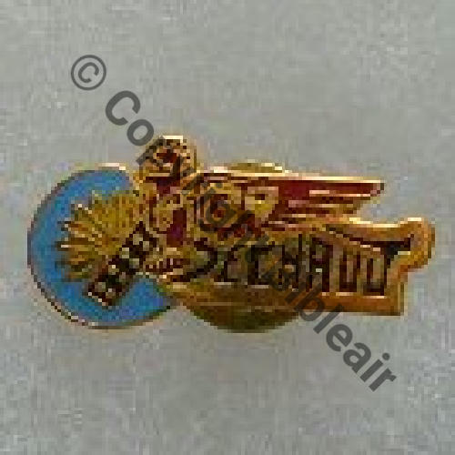 PAS INSIGNE PINS 3 Src.RIGODANZO 