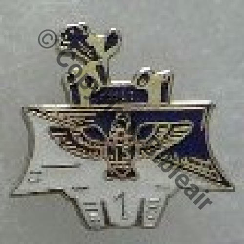 PAS INSIGNE PINS 4 Src.RIGODANZO 