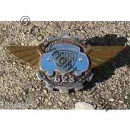 A0608 ARAA.623 BORDEAUX BEAUSEJOUR  DrP Tambour origine.. Guilloche Bleu Clair  Sc.draghussard 8EurInv
