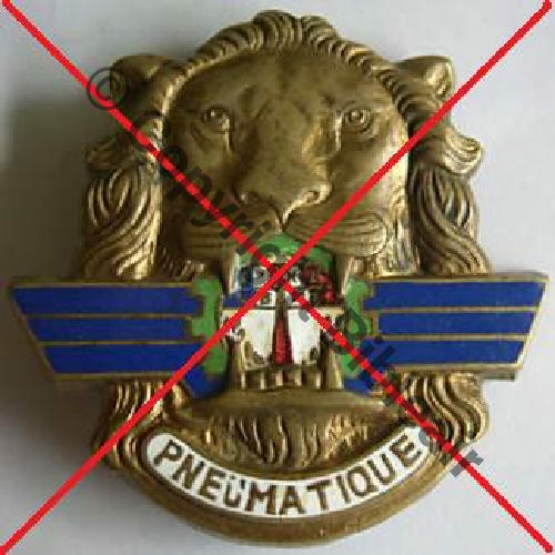 NH ERREUR CUICH Section pneu FFL puis 691eCie Colo Reparation Pneumat  a certainement soutenu AA mais n.est pas Unite Air Src.nathalie4126