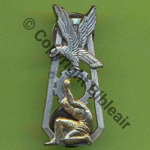 A0749 GERMAS 15.061 ORLEANS  SM Attaches US Dos lisse irreg scintillant SNH