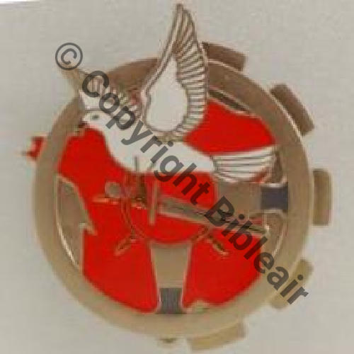 A1363 ESCADRON TRANSPORT MATERIEL SPECIALISE 01.532 AVORD  AB Griffes et butees Dos scintillant  BRONZE Src.JC.RICHARD  