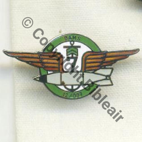 DAMS 12.007 SAINT DIZIER  PINS 1Attach US Dos lisse 500Ex Src.wgolan3.6 13Eur11.18 