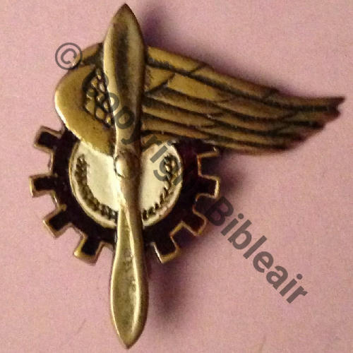 NH  CIE REPARATION INDO a confirmer FAVN...  SM Bol Dos lisse irreg 55x50mm Src.godwin163 74Eur09.15