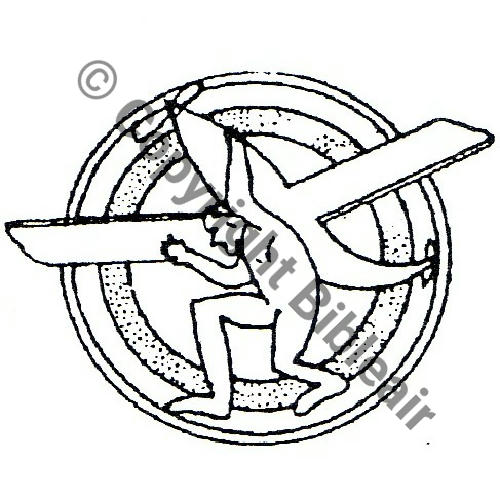 NH  CRRT.86 SM Type2