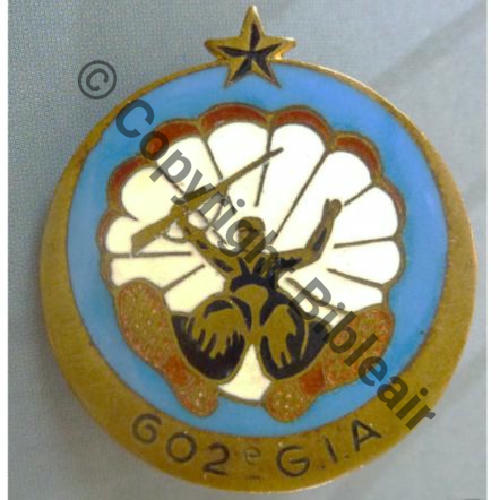 1311.DION  CIE PARA 602e Gpe INF AIR  Dr R81 RETIRAGE  IMAGE NON CONTRACTUELLE Src.ledemisolde 