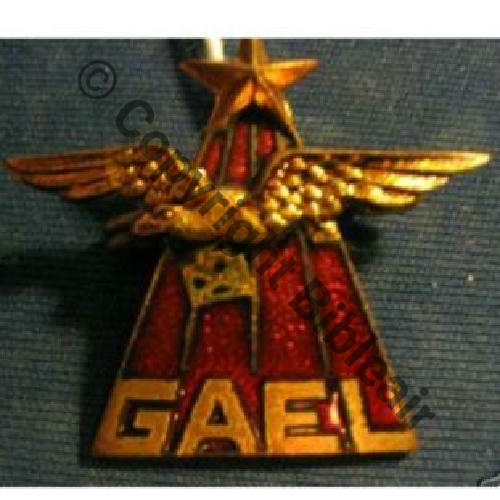 8906 EMGFAA 65eET GAEL VILLACOUBLAY  SM  Dos lisse Email