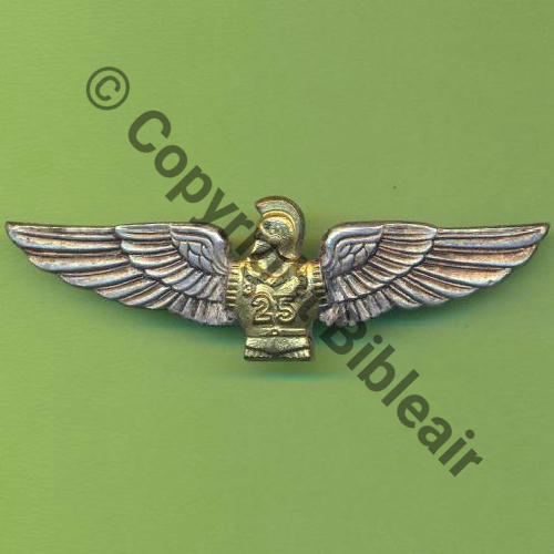 A0499 25e RGA 00.552 COMPIEGNE  DrP 2Anneaux Guilloche Cuirasse emboutie NH a droite Bombe ou plie Src.Y.GENTY 3Eur09.10 