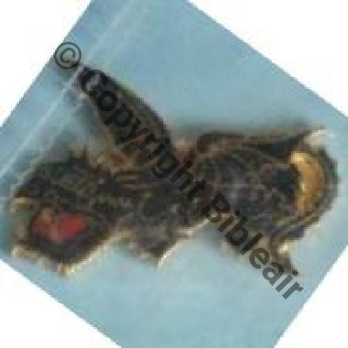 A0574 SPA.171 1e Drille GC3.5 GARGOUILLE    DrPN QUEUE PLEINE Src.rv.ins.collect 234EurInv 