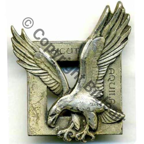 A0690  GROUPEMENT COMMANDOS PARA AIR  50.541  DrP Guilloche 2Anneaux 