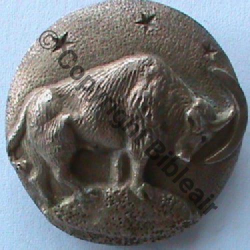 A0810 1949.55 BISON A0810NH 2eDRILLE GB.1.25 TUNISIE  SM 2Anneaux Dos irreg Incurve au centre Src.sahariens50 112Eur12.07