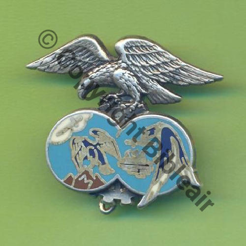 A0831 BA.701 SALON  DrNMV Griffes et butees Herbe ondulee Aigle non lisse NH Src.Y.GENTY 2Eur06.14 