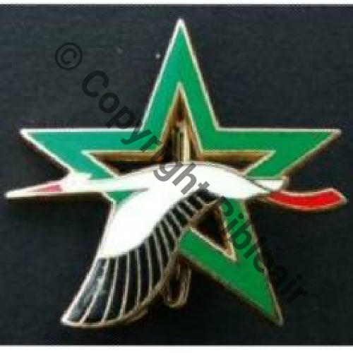 A0852 BA.705 TOURS  De Dos lisse Eping vertic