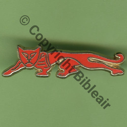 A0931  2022+ A0931 SAL.17 EH.1.67 PYRENEES CAZAUX 39x10mm  AB 2Attac PINS Dos scintillant 39x10mm Src.Y.GENTY 20Eur(x10) 