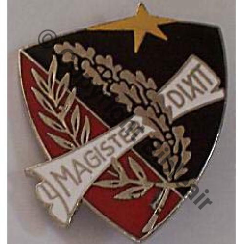 A0951 2eDron GE.313 EFM AULNAT  EFMS COGNAC  PARIS INSIGNES Bol fenetre allonge Quadrille fin SNH 15EurInv 