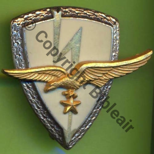 A0959 CTAA VILLACOUBLAY  DrP Griffes et butees Rameaux Aigle rivete SNH Sc.Y.GENTY 