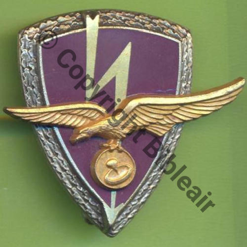 A0959 ECH.10.804 AIX  DrP Griffes et butees Rameaux Aigle rivete SNH Sc.Y.GENTY 