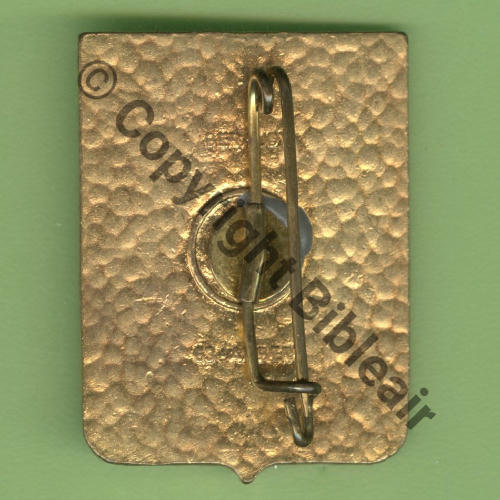 A1033 1979 ESC.GEVAUDAN CAP10 GE.313 AULNAT  BERAUDY Bol prison Dos Grumeleux  Cuivre Motif BRONZE 2eClasse GENTY 1979 Src.Y.GENTY 