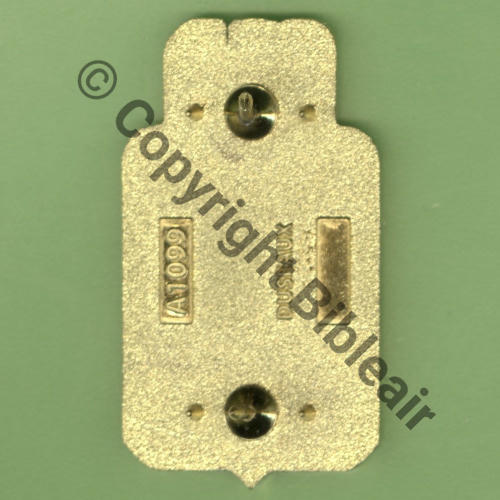 A1099 2022 EC.2.8 NICE CAZAUX  DUSEAUX 2Attach PINS Dos scintillant Src.Y.GENTY 15Eurx10 