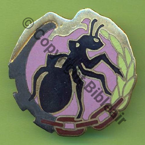 A1152 ESCADRON RAVITAILLEMENT TECHNIQUE 17.136 TOUL  SM Bol fenetre allonge petit Dos lisse Sc.Y.GENTY 