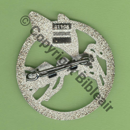 A1198 2022 SAL.259 Drille ALSR EEA.54 EVREUX  DUSEAUX Griffes et butees Dos scintillant 37x44mm Src.Y.GENTY 