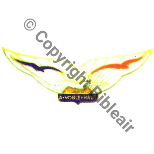 A1203NH BA.742 ECHOUBOULAIN Maison des Ailes  SM Dos lisse Demi Bol tube EmailGF 1956