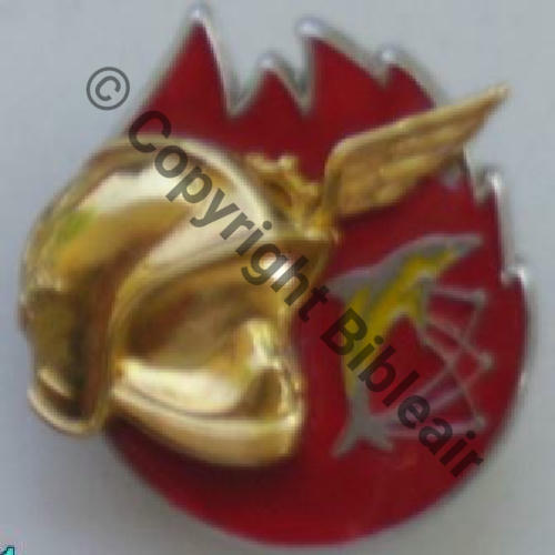 A1210 SSIS Ins General  Fab Loc MACEDOINE Surmoulage de la version AMC avec NH 2Attach PINS Dos irreg Src.B.RIGODANZO 
