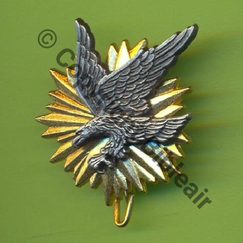 A1233 EMAA PARIS  DRAGO ds Cartouche Griffes et butees Motif serti 2cartouches  14Eur(x2) 