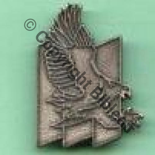 A1245 INSPECTION GENERALE AA PARIS  Non emaille PARIS INSIGNES Dos scintillant Grave A1248 Sc.BLANCHET 17Eur09.07 