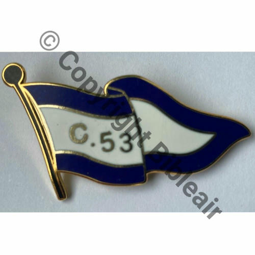 A1249  2014 3eDRILLE C.53 ER.2.33 SAVOIE A1249  FANION OR DRAPEAU 2Anneaux Dos lisse NH Ajoute Src.guilloune 156Eur(x2) 