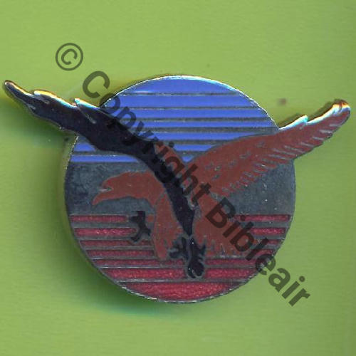 A1277 CENT FORM INSTR PILOTES COGNAC AVH BADGES Tambour Dos lisse Sc.Y.GENTY 24Eur(x3) 