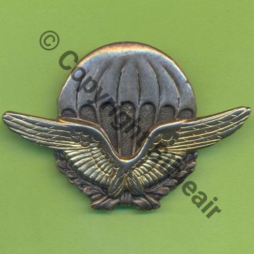 A1439NH BREVET AIR INITIATION PARA 4 SAUTS  COINDEROUX Tambour Dos lisse strie No01602 Sc.Y.GENTY 17Eur07.11 
