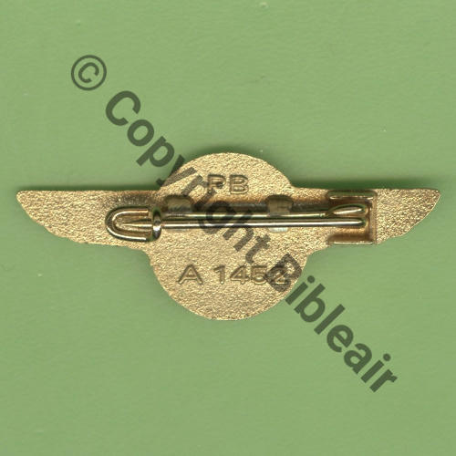 A1452 2015 ET.60 VILLACOUBLAY ex LAM  PB PICHARD BALME Griffes et butees Dos scintillant 40mm Src.Y.GENTY 7Eur01.16 