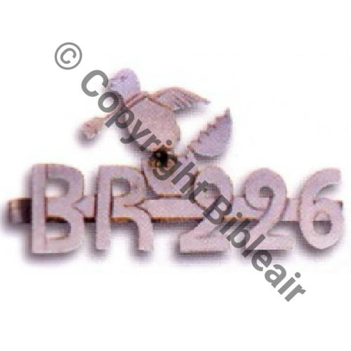 A1454  1917 BR.226 BARETTE ARGENT A1454NH  Src.BARTLETT 
